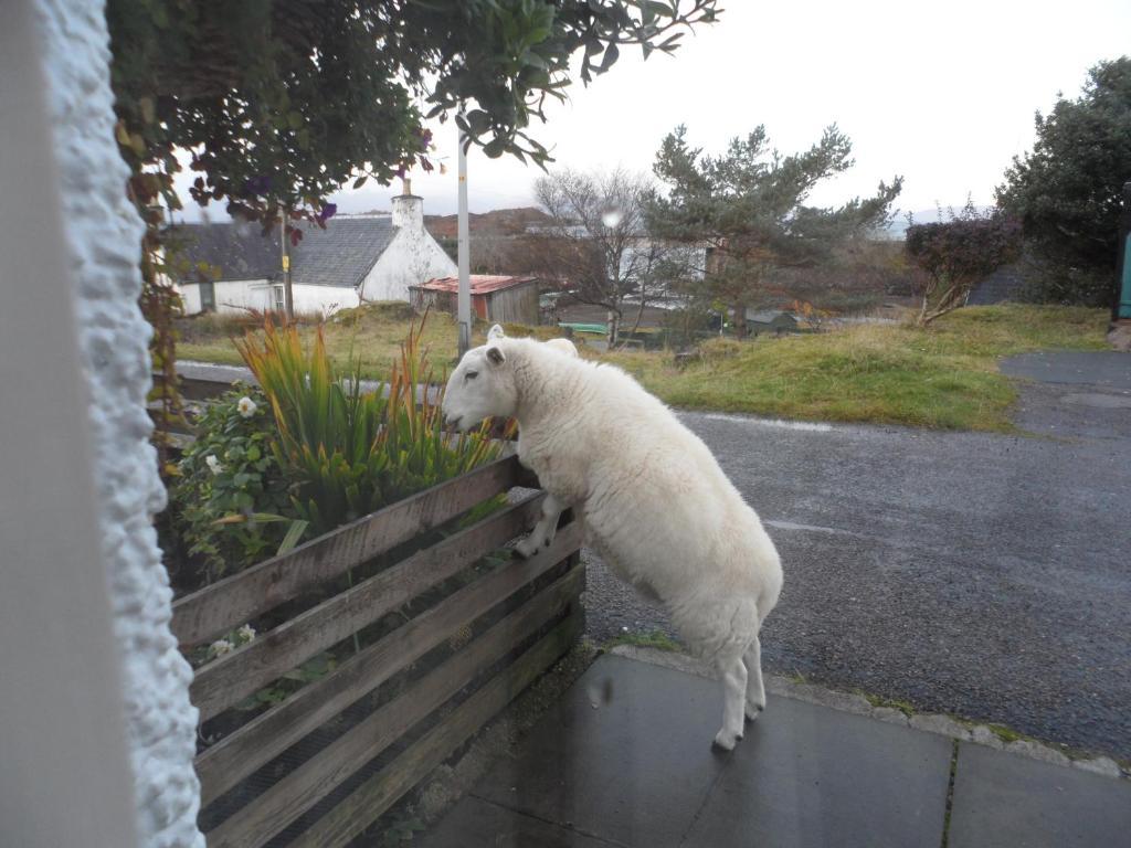 Creag Dubh Bed & Breakfast Kyle of Lochalsh Buitenkant foto
